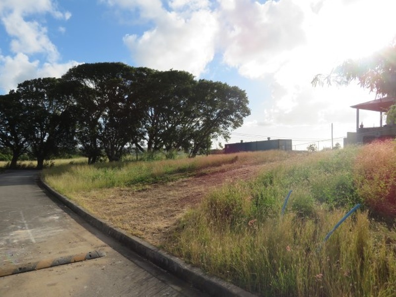 Land For Sale in Jordans Barbados